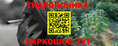скорость Гусев