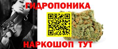 скорость Гусев