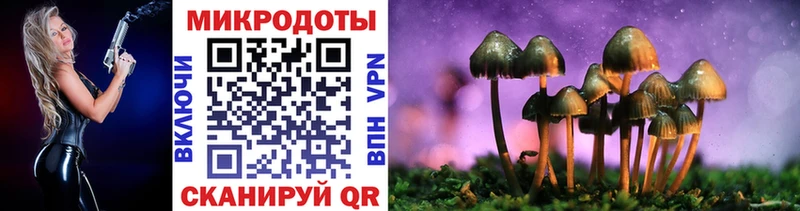Галлюциногенные грибы Psilocybine cubensis  Славянск-на-Кубани 