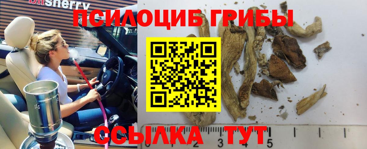 Славянск-на-Кубани  Галлюциногенные грибы GOLDEN TEACHER  Псилоцибиновые грибы Cubensis  Вход с VPN 
